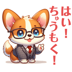 Daily use _ Tail corgi with glasses