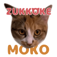 ZUKKOKE MOKO