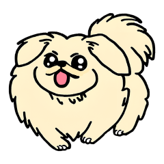 Pekingese wanwan