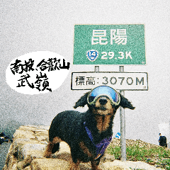 Travel Taiwan with dachshund Candy