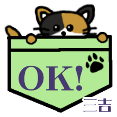 Miyoshi's Pocket Cat's  [42]