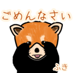 Fuki's lesser panda