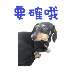 mini胖3