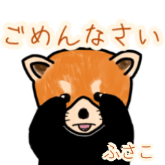 Fusako's lesser panda