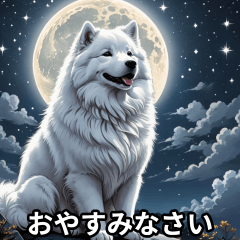 Samoyed - Large Text for Daily Use