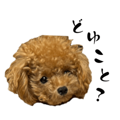 kurumi.noa.kota_20240825081438