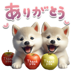 Greetings of Shiba Inu -Neo-