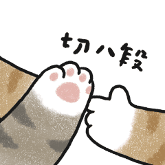 dynamic cat's hand2 (tabby cat)