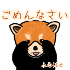 Fumiharu's lesser panda