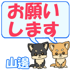 Yamanabe's letters Chihuahua2