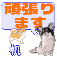 Tsukue's letters Chihuahua