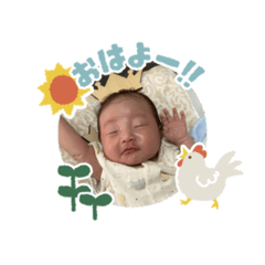 Yayoi_20240825212321