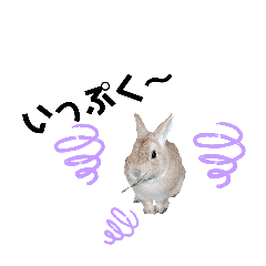 isa_20240824225746