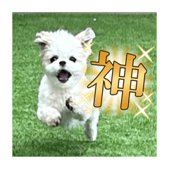 sakayu_20240825195052