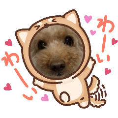 Mayumi.Kuyama_20240826070823