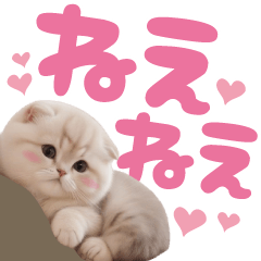 scottish fold dekamoji sticker3