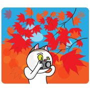 Expressive and unique cat stickers5