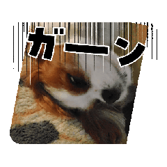 KAYO_20240826213454