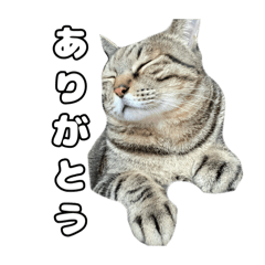 maso_20240825201432
