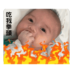 愷愷表情包2