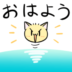 もっちり丸顔ねこ