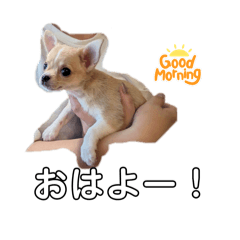 ritopi_20240826170526