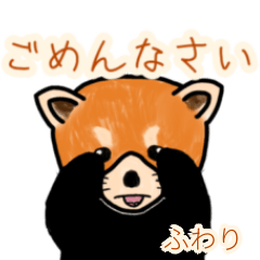 Fuwari's lesser panda