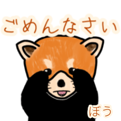 Bou's lesser panda