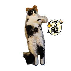 Michael_20240826203400