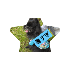 anART_20240826210822