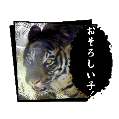 実写アニマル4