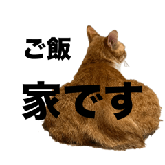 kichi_20240827001007