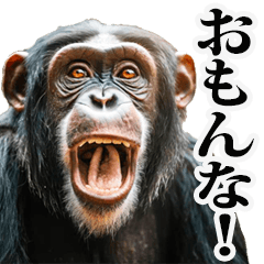 Monkey shouting in Kansai dialect