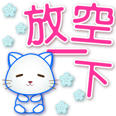 Cute white cat- practical for daily life