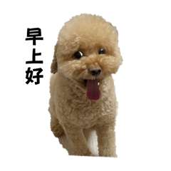 黃ozzie