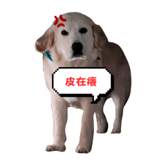 CHURRO A BAD BAD DOG