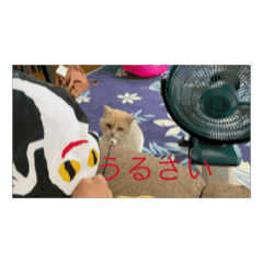 tumugi3_20240828005302