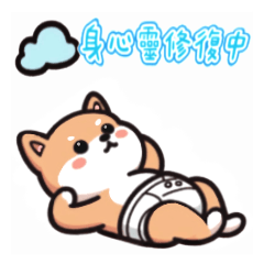 Cute Shiba dog is coming 3 daily mood