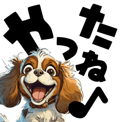 Cute Cavalier big letters