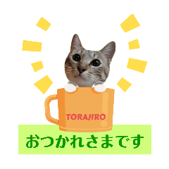 CAT TORAJIRO Vol.6