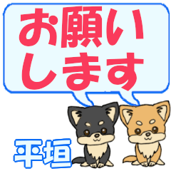 Hiragaki's letters Chihuahua2