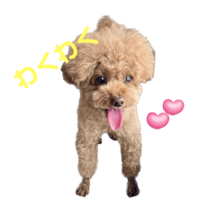 Kukka_20240827083105