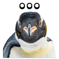 Puffy Penguin