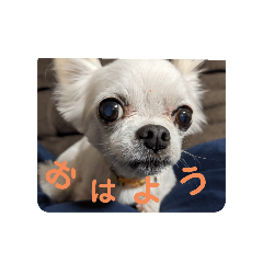 mura_20240827165524