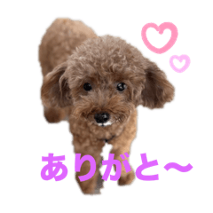 KAYO_20240827190123