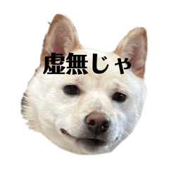 poemi_20240827192843