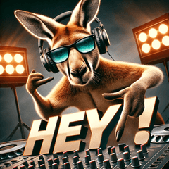 DJ Kangaroo