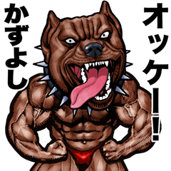 Kazuyoshi dedicated Muscle macho animal