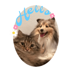 momomam_20240828111751