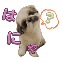 Soichan_20240828011152